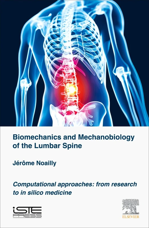 Biomechanics and Mechanobiology of the Lumbar Spine: Computational Approaches: from Research to in Silico Medicine