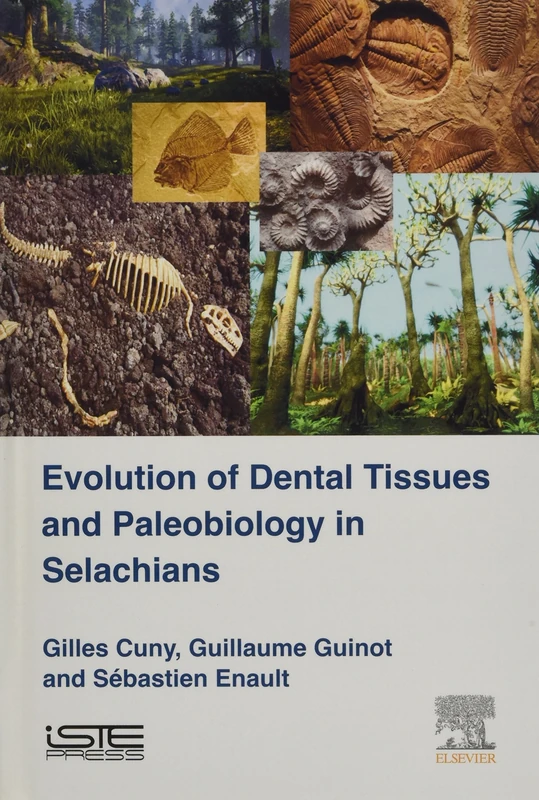 Evolution of Dental Tissues and Paleobiology in Selachians (Vertebrate Paleobiology and Paleoenvironments Set)