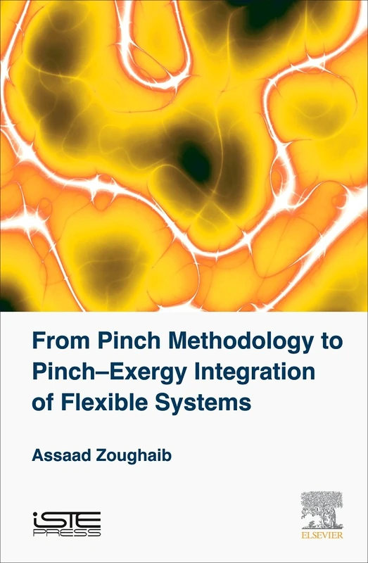From Pinch Methodology to Pinch-Exergy Integration of Flexible Systems (Thermodynamics - Energy, Environment, Economy Set)