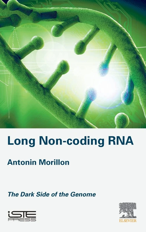 Long Non-coding RNA: The Dark Side of the Genome