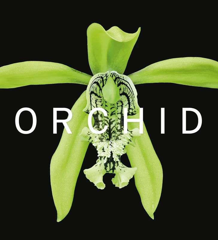 ORCHID: Marie Selby Botanical Gardens