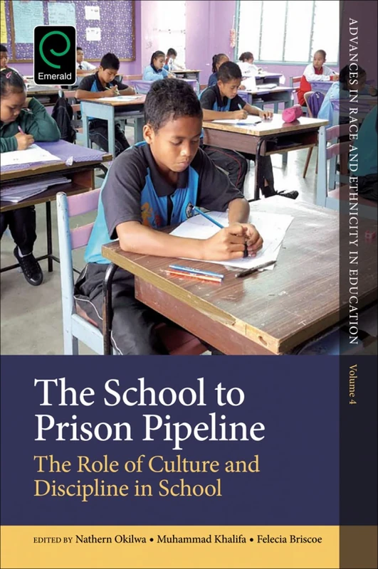 The School to Prison Pipeline: The Role of Culture and Discipline in School: 4 (Advances in Race and Ethnicity in Education, 4)