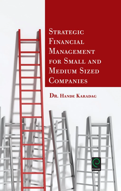 Strategic Financial Management for Small and Medium Sized Companies (0) - Image 1