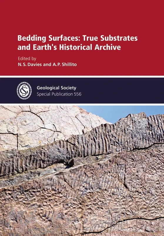 Bedding Surfaces: True Substrates and Earth's Historical Archive: 556 - Image 1