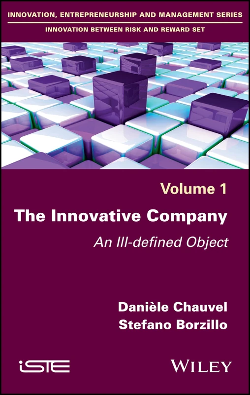 The Innovative Company: An Ill-defined Object (Innovation, Entrepreneurship and Management: Innovation Between Risk and Reward Set, 1)