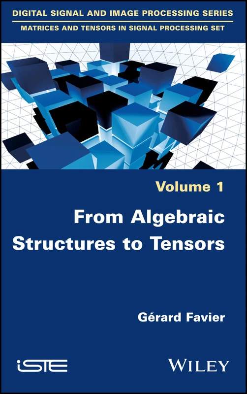 From Algebraic Structures to Tensors (Digital Signal and Image Processing: Matrices and Tensors in Signal Processing Set)
