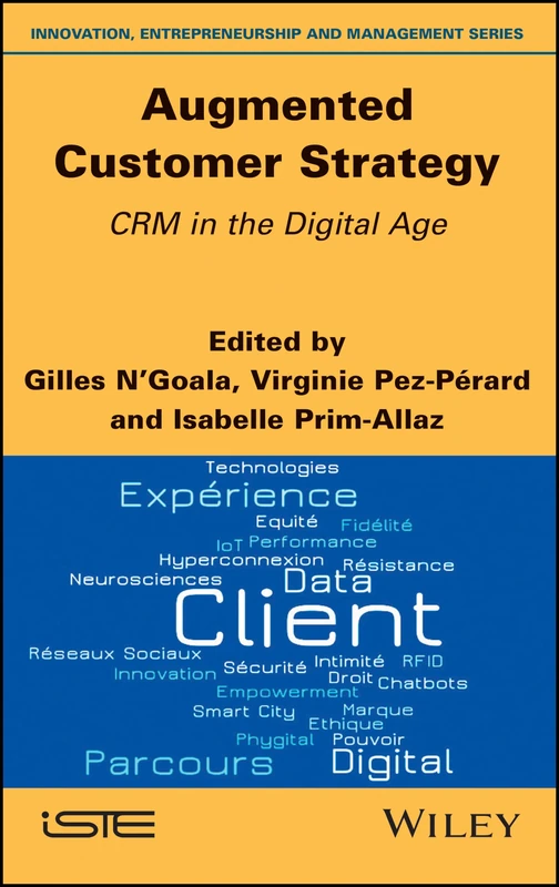 Augmented Customer Strategy: CRM in the Digital Age (Innovation, Entrepreneurship and Management)
