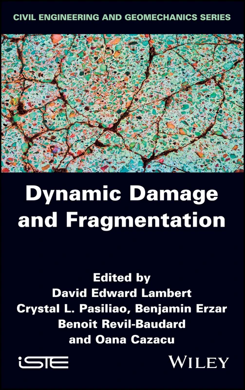 Dynamic Damage and Fragmentation (Civil Engineering and Geomechanics)