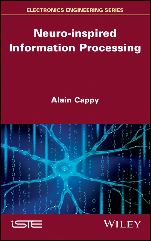 Neuro-inspired Information Processing (Electronics Engineering)
