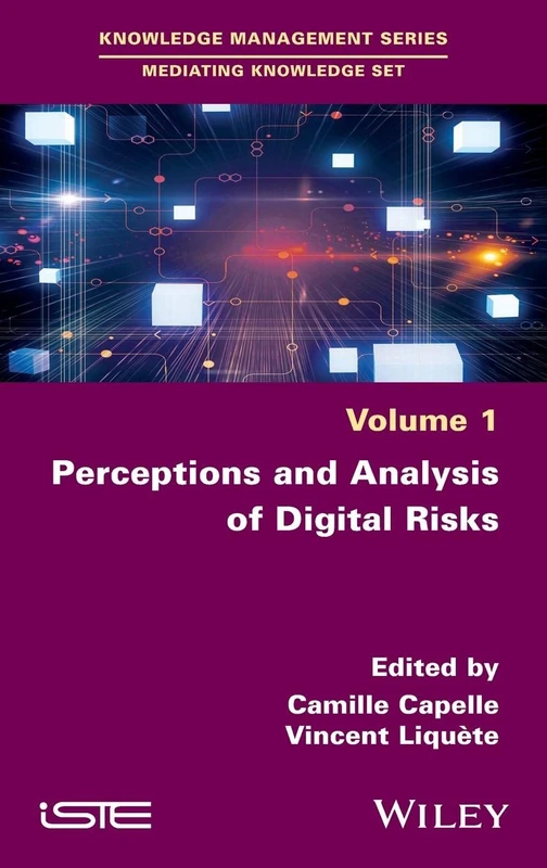 Perceptions and Analysis of Digital Risks (Knowledge Management: Mediating Knowledge Set, 1)