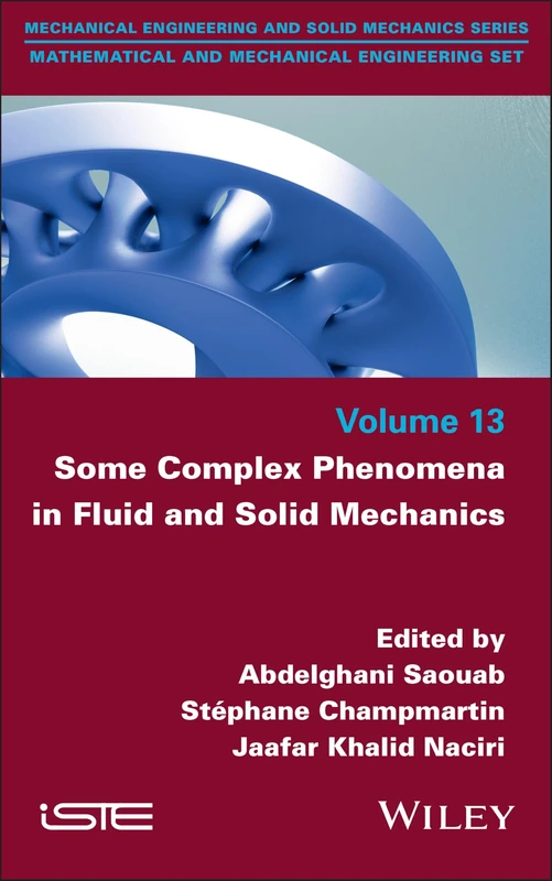 Some Complex Phenomena in Fluid and Solid Mechanics (ISTE Consignment)