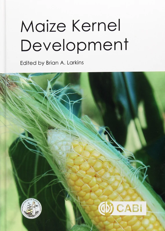 Maize Kernel Development - Image 1