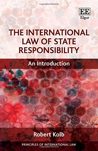 The International Law of State Responsibility: An Introduction (Principles of International Law series)