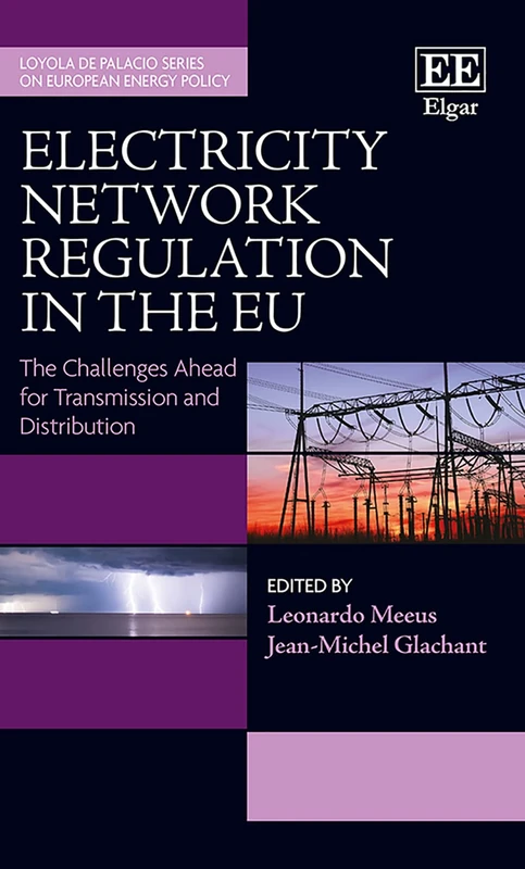 Electricity Network Regulation in the EU: The Challenges Ahead for Transmission and Distribution (Loyola de Palacio Series on European Energy Policy)