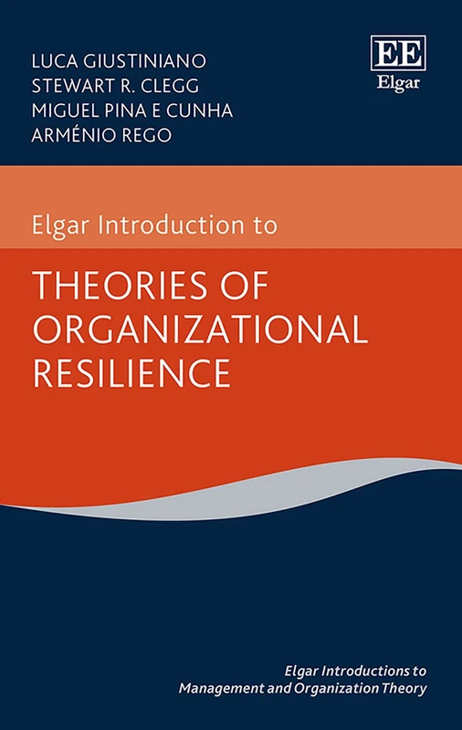 Elgar Introduction to Theories of Organizational Resilience (Elgar Introductions to Management and Organization Theory series)