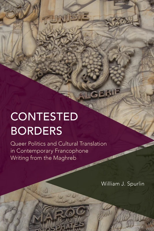 Contested Borders: Queer Politics and Cultural Translation in Contemporary Francophone Writing from the Maghreb (Critical Perspectives on Theory, Culture and Politics)