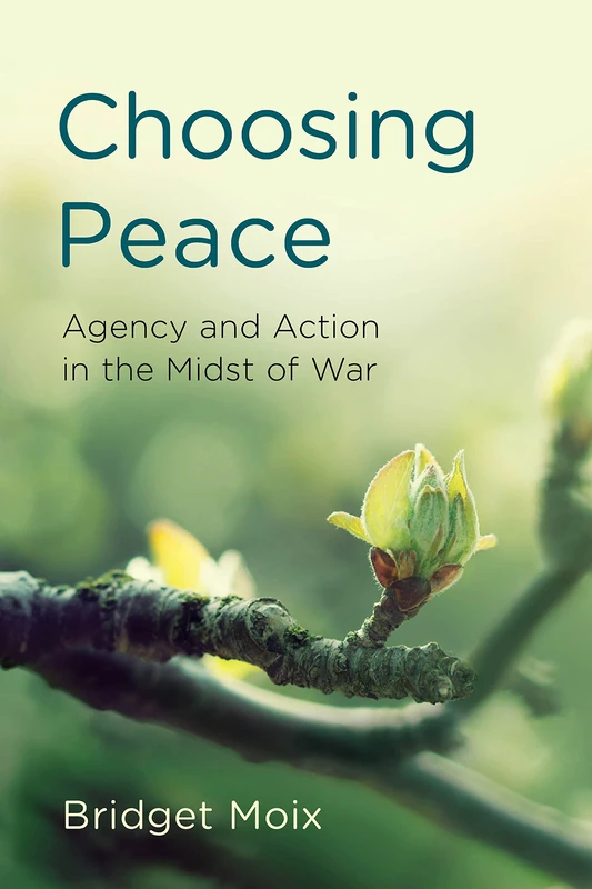 Choosing Peace: Agency and Action in the Midst of War (Peace and Security in the 21st Century)