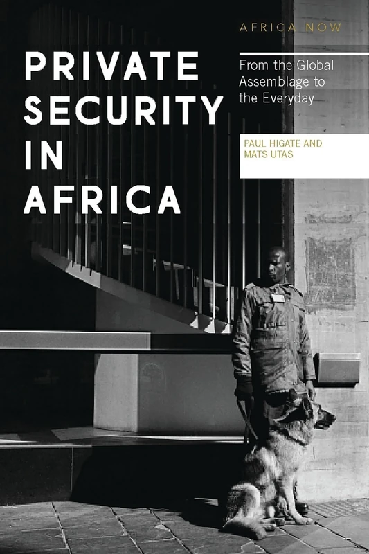 Private Security in Africa: From the Global Assemblage to the Everyday (Africa Now)