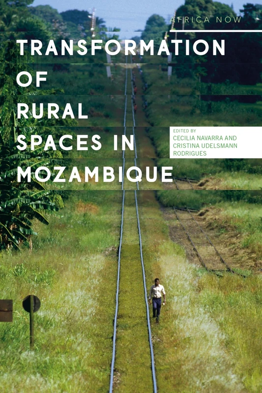 Transformations of Rural Spaces in Mozambique (Africa Now)