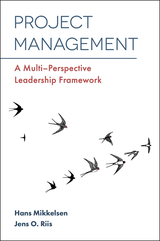 Project Management: A Multi-Perspective Leadership Framework