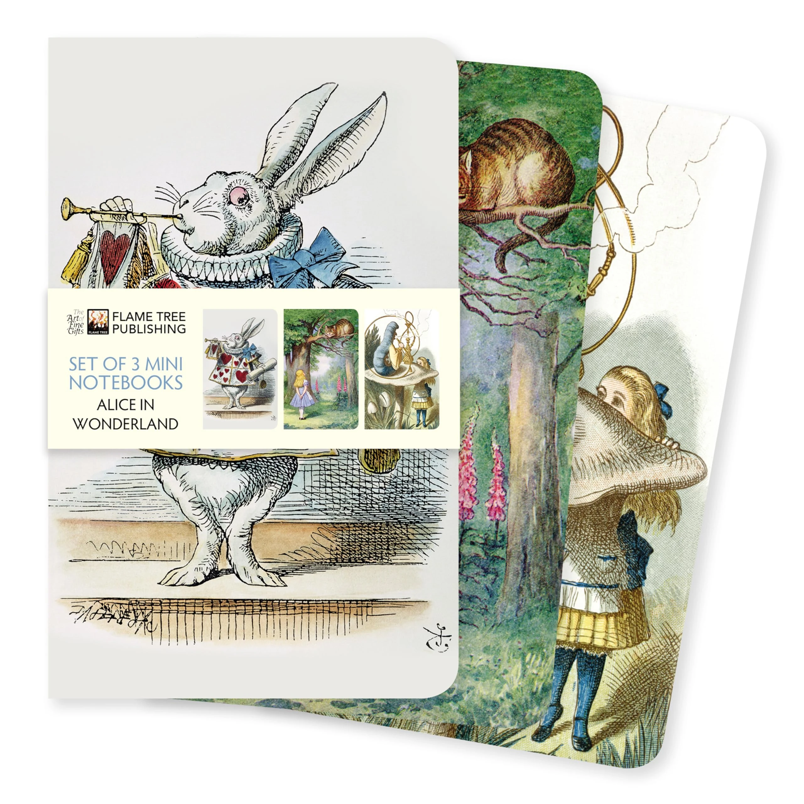 Alice's Adventures in Wonderland Set of 3 Mini Notebooks (Mini Notebook Collections)