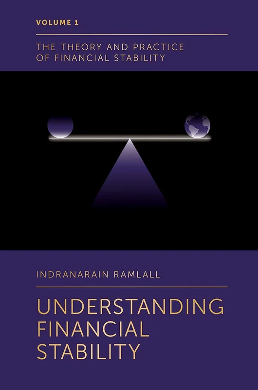 Understanding Financial Stability: 1 (The Theory and Practice of Financial Stability, 1)