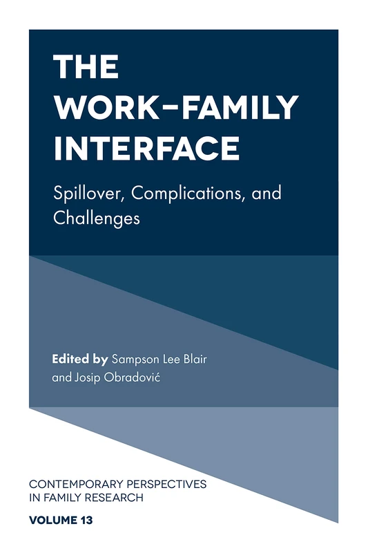 The Work-Family Interface: Spillover, Complications, and Challenges: 13 (Contemporary Perspectives in Family Research, 13)