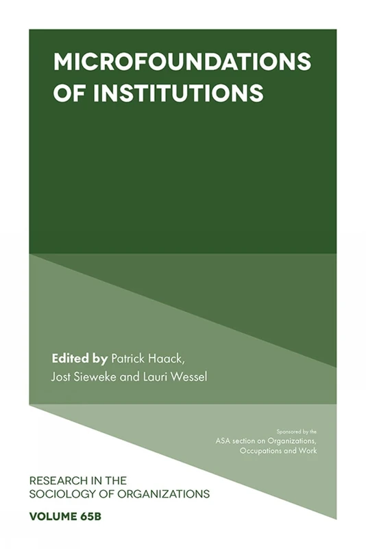 Microfoundations of Institutions: 65, Part B (Research in the Sociology of Organizations, 65, Part B)