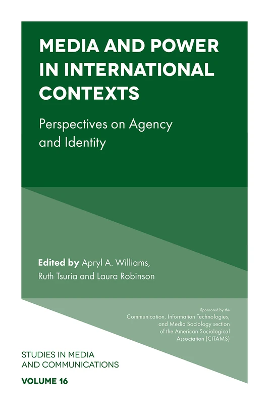 Media and Power in International Contexts: Perspectives on Agency and Identity: 16 (Studies in Media and Communications, 16)