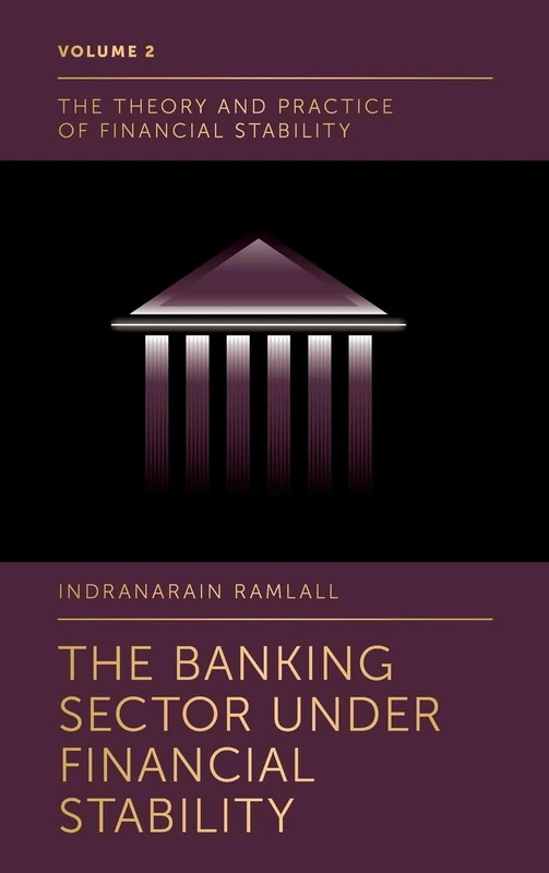 The Banking Sector Under Financial Stability: 2 (The Theory and Practice of Financial Stability, 2)