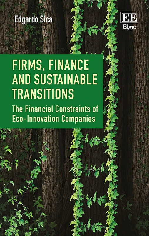 Firms, Finance and Sustainable Transitions: The Financial Constraints of Eco-Innovation Companies - Image 1