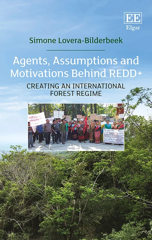 Agents, Assumptions and Motivations Behind REDD+: Creating an International Forest Regime