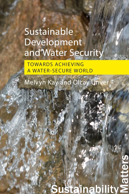 Sustainable Development and Water Security: Towards Achieving a Water-Secure World (Sustainability Matters)