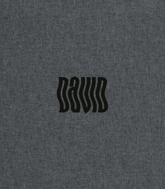 David Bowie by Denis O'Regan (Special Edition): With Rare and Unseen Images From his Official Tour Photographer (ACC Collector’s Editions)