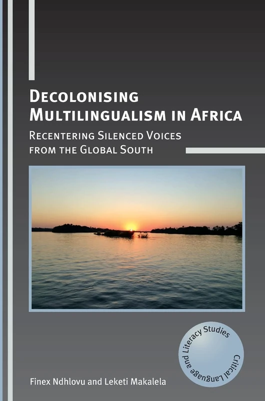 Decolonising Multilingualism in Africa: Recentering Silenced Voices from the Global South: 26 (Critical Language and Literacy Studies)