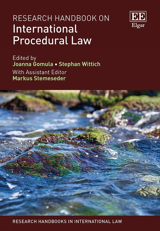 Research Handbook on International Procedural Law (Research Handbooks in International Law series)