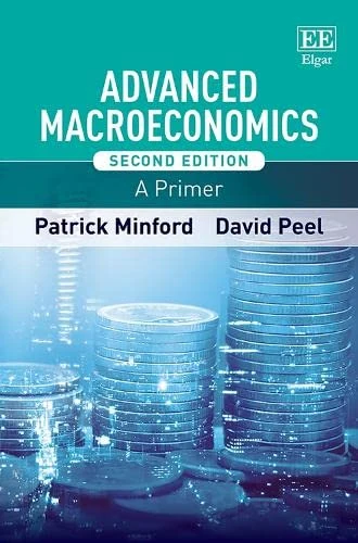 Advanced Macroeconomics: A Primer: Second Edition
