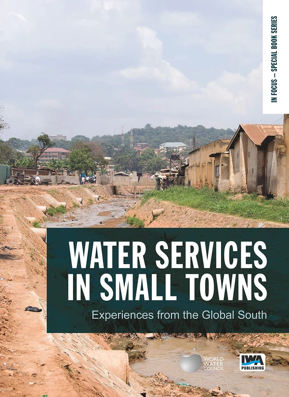 Water Services in Small Towns: Experiences from the Global South: 1 (In Focus – Special Book Series)