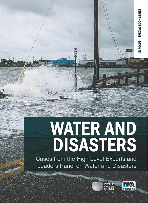 Water and Disasters: Cases from the High Level Experts and Leaders Panel on Water and Disasters: 2 (In Focus – Special Book Series)