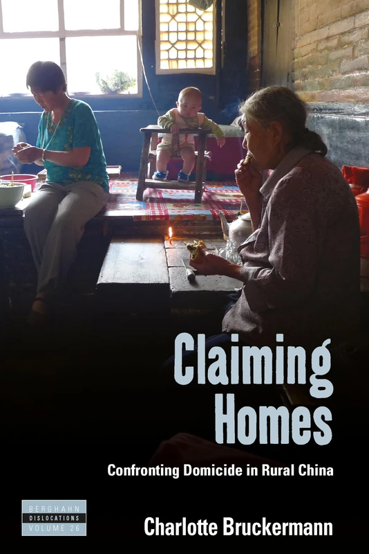 Claiming Homes: Confronting Domicide in Rural China: 26 (Dislocations, 26)