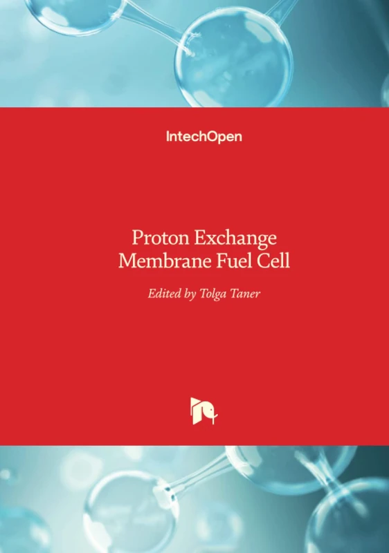 Proton Exchange Membrane Fuel Cell