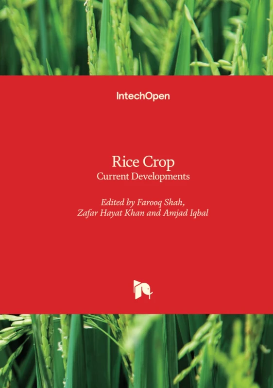 Rice Crop - Current Developments - Image 1