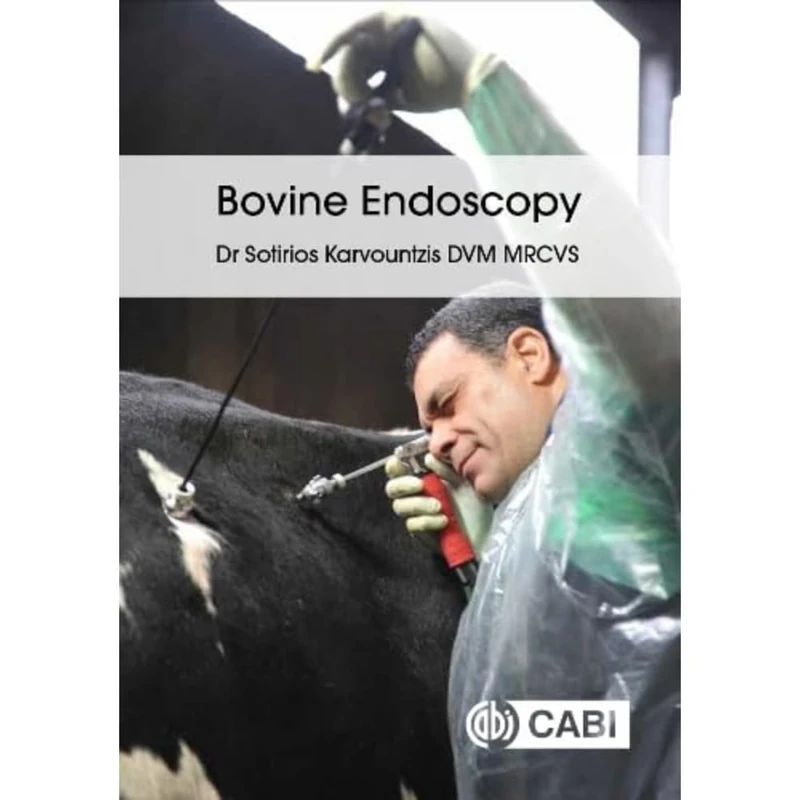 Bovine Endoscopy