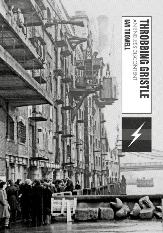 Throbbing Gristle: An Endless Discontent (Global Punk)