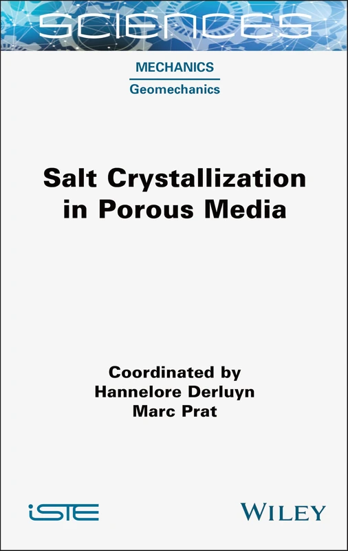 Wiley Salt Crystallization in Porous Media - ISTE Consignment