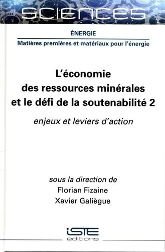 L'économie des ressources minérales et le défi de la soutenabilité 2: Tome 2, Enjeux et leviers d'action