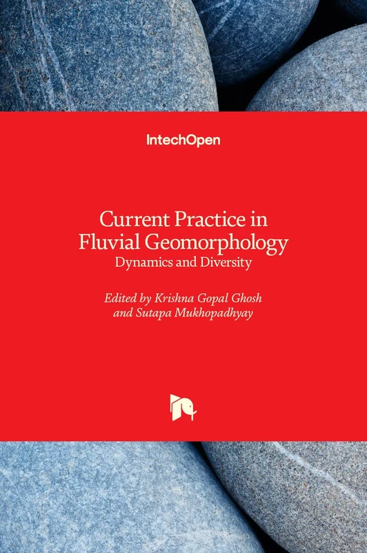 Current Practice in Fluvial Geomorphology: Dynamics and Diversity - Image 1