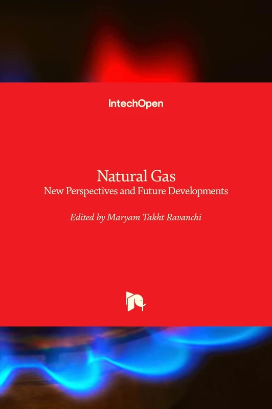 Natural Gas: New Perspectives and Future Developments