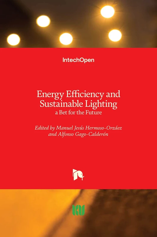 Energy Efficiency and Sustainable Lighting: a Bet for the Future