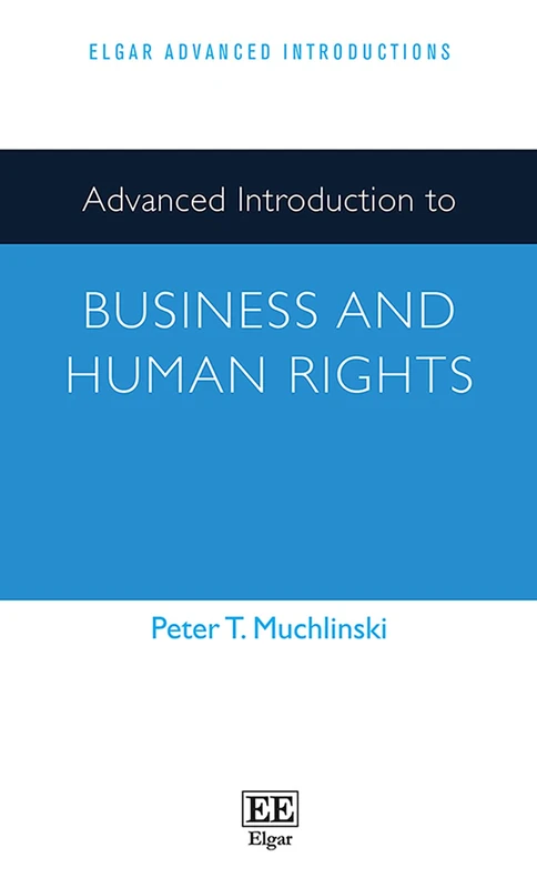 Advanced Introduction to Business and Human Rights (Elgar Advanced Introductions series)